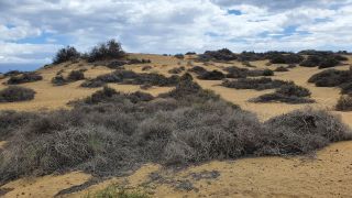 2023-GC-Dunas_Maspalomas-016.jpg